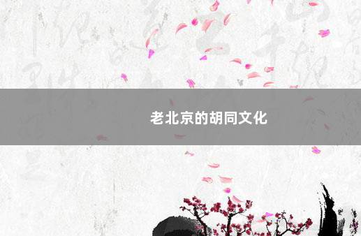 老北京的胡同文化
