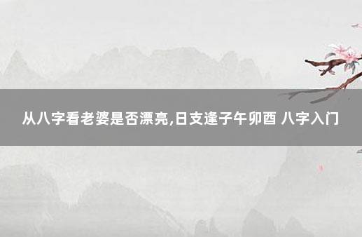 从八字看老婆是否漂亮,日支逢子午卯酉 八字入门