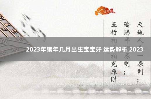 2023年猪年几月出生宝宝好 运势解析 2023元旦放假时间表公布