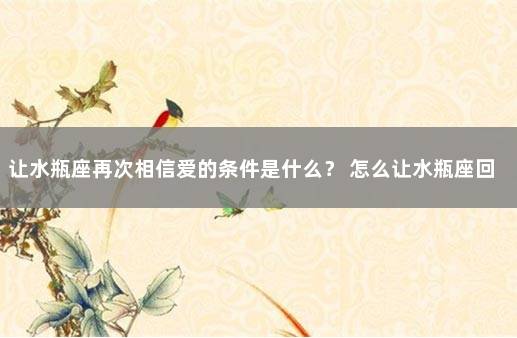 让水瓶座再次相信爱的条件是什么？ 怎么让水瓶座回心转意