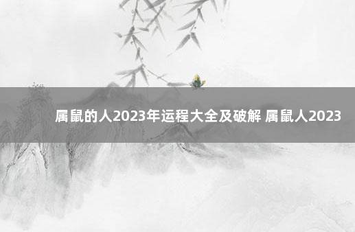 属鼠的人2023年运程大全及破解 属鼠人2023年运势如何