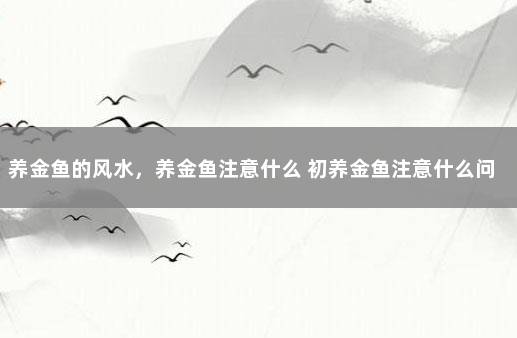 养金鱼的风水，养金鱼注意什么 初养金鱼注意什么问题