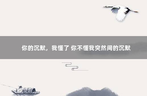 你的沉默，我懂了 你不懂我突然间的沉默