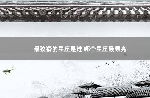 最狡猾的星座是谁 哪个星座最漂亮