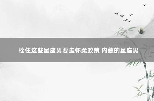 栓住这些星座男要走怀柔政策 内敛的星座男
