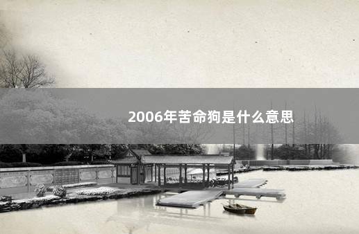 2006年苦命狗是什么意思