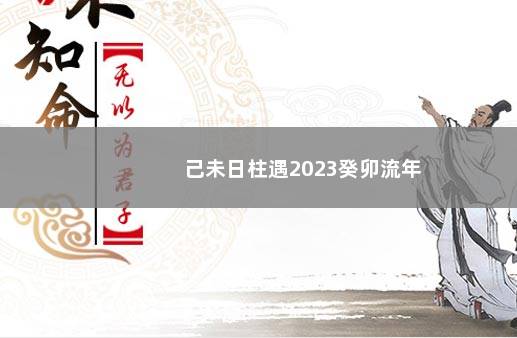 己未日柱遇2023癸卯流年