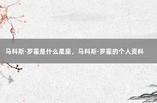 马科斯·罗霍是什么星座，马科斯·罗霍的个人资料 摩洛哥队最出名的球员