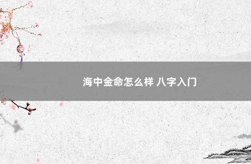 海中金命怎么样 八字入门