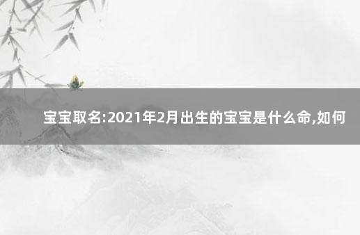 宝宝取名:2021年2月出生的宝宝是什么命,如何起名 取名