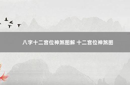 八字十二宫位神煞图解 十二宫位神煞图