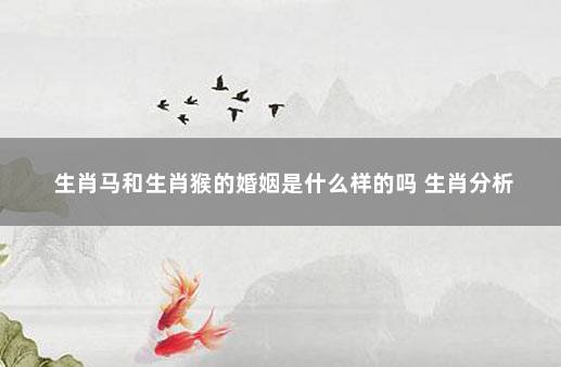 生肖马和生肖猴的婚姻是什么样的吗 生肖分析