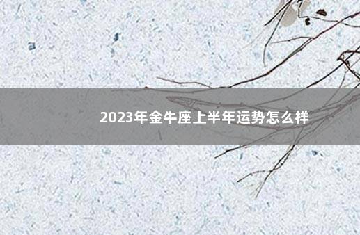 2023年金牛座上半年运势怎么样