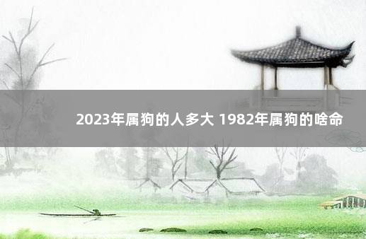 2023年属狗的人多大 1982年属狗的啥命