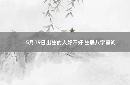 5月19日出生的人好不好 生辰八字查询