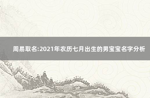 周易取名:2021年农历七月出生的男宝宝名字分析 取名