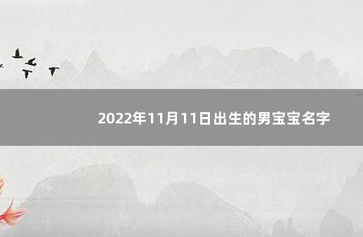 2022年11月11日出生的男宝宝名字