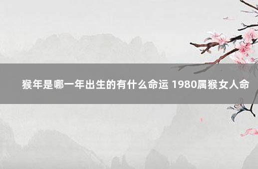 猴年是哪一年出生的有什么命运 1980属猴女人命运