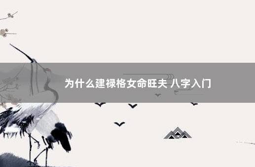 为什么建禄格女命旺夫 八字入门