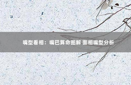嘴型看相：嘴巴算命图解 面相嘴型分析