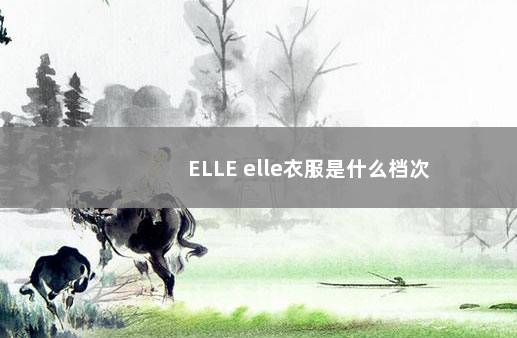 ELLE elle衣服是什么档次