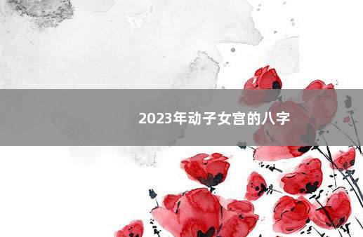 2023年动子女宫的八字