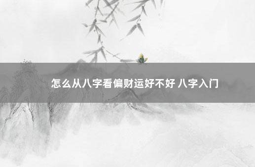 怎么从八字看偏财运好不好 八字入门