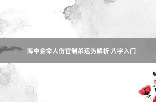 海中金命人伤官制杀运势解析 八字入门