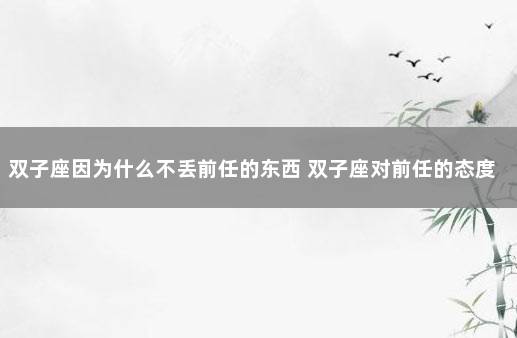 双子座因为什么不丢前任的东西 双子座对前任的态度