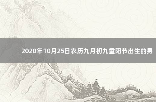 2020年10月25日农历九月初九重阳节出生的男孩命运 2020年10月25日男孩八字