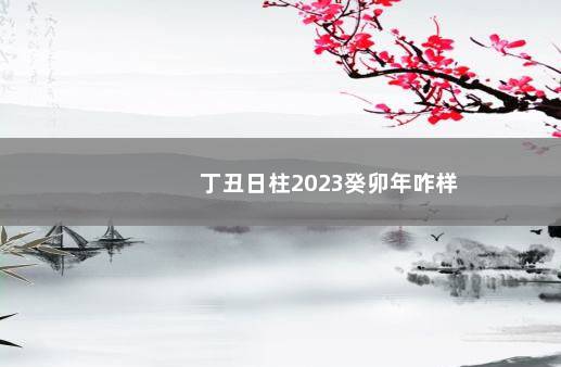 丁丑日柱2023癸卯年咋样