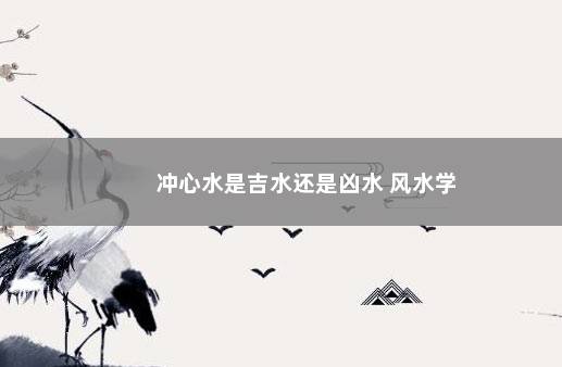 冲心水是吉水还是凶水 风水学