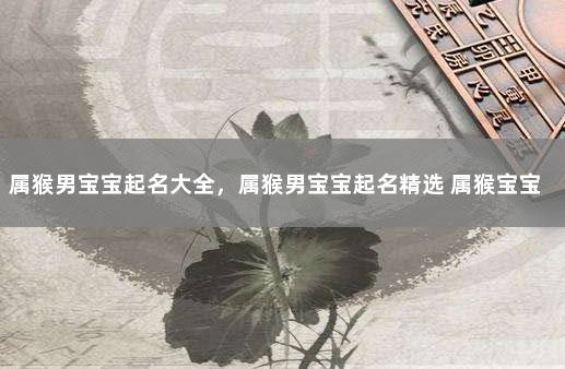 属猴男宝宝起名大全，属猴男宝宝起名精选 属猴宝宝取名