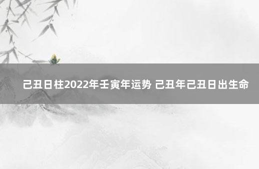 己丑日柱2022年壬寅年运势 己丑年己丑日出生命运