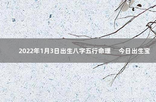 2022年1月3日出生八字五行命理 　今日出生宝宝八字命格
