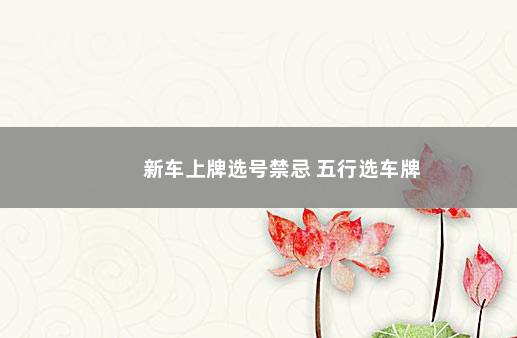 新车上牌选号禁忌 五行选车牌