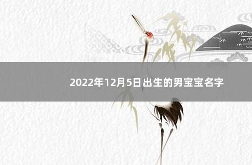 2022年12月5日出生的男宝宝名字