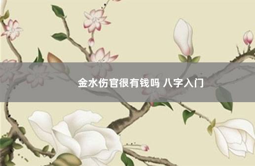 金水伤官很有钱吗 八字入门