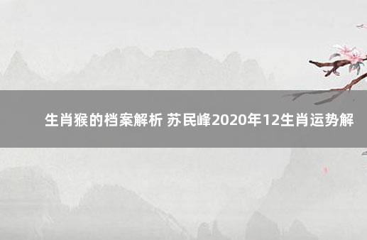 生肖猴的档案解析 苏民峰2020年12生肖运势解析