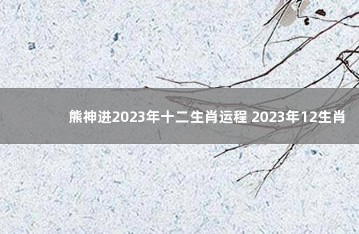 熊神进2023年十二生肖运程 2023年12生肖运势解析完整版