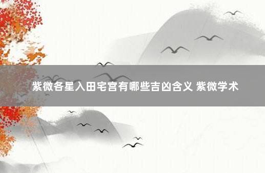 紫微各星入田宅宫有哪些吉凶含义 紫微学术