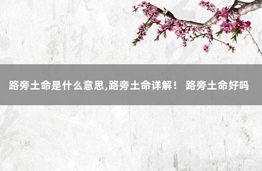 路旁土命是什么意思,路旁土命详解！ 路旁土命好吗
