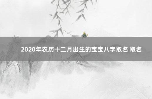 2020年农历十二月出生的宝宝八字取名 取名