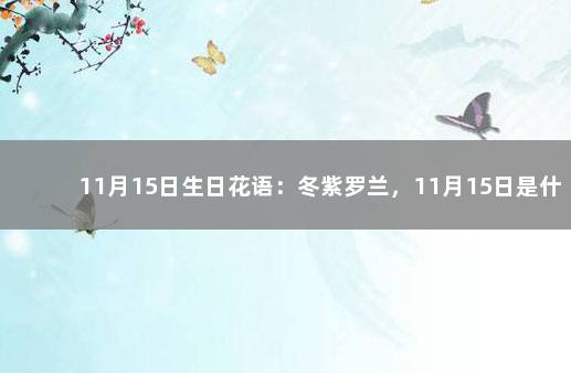 11月15日生日花语：冬紫罗兰，11月15日是什么星座？ 10月15日生日花