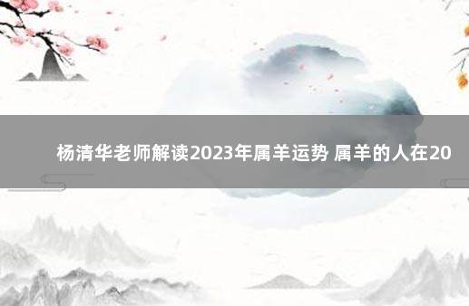 杨清华老师解读2023年属羊运势 属羊的人在2023年的运势怎么样