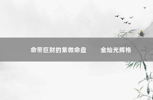 命带巨财的紫微命盘 　　金灿光辉格