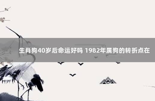 生肖狗40岁后命运好吗 1982年属狗的转折点在哪