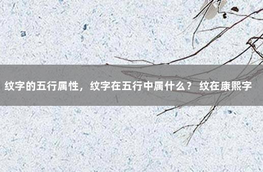 纹字的五行属性，纹字在五行中属什么？ 纹在康熙字典里的意思