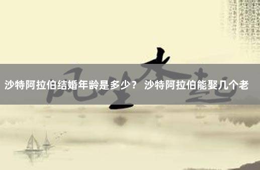 沙特阿拉伯结婚年龄是多少？ 沙特阿拉伯能娶几个老婆
