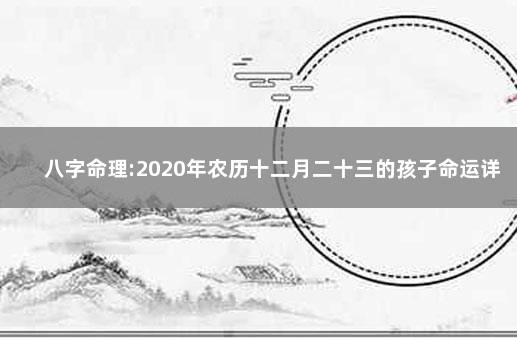 八字命理:2020年农历十二月二十三的孩子命运详解 生辰八字解析